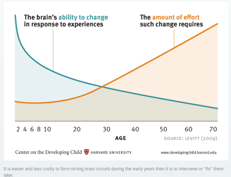 How the ability of the brain to change is different based on a person’s age