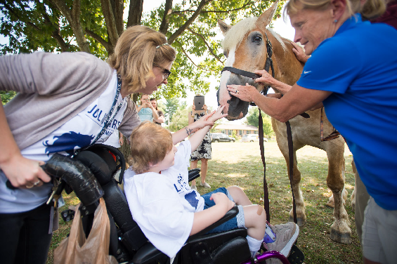 A young person and an adult pet a horse, while others take pictures. A worker holds the horse’s bridle.