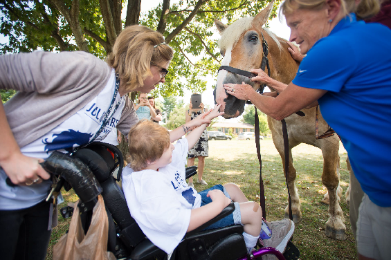 A young person and an adult pet a horse, while others take pictures. A worker holds the horse’s bridle. 