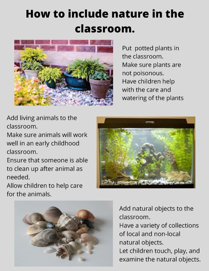 a sample digital poster about potted plants in classrooms