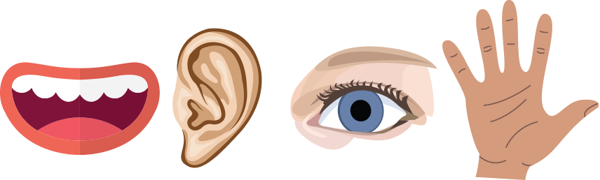 human mouth, ear, eye, and hand