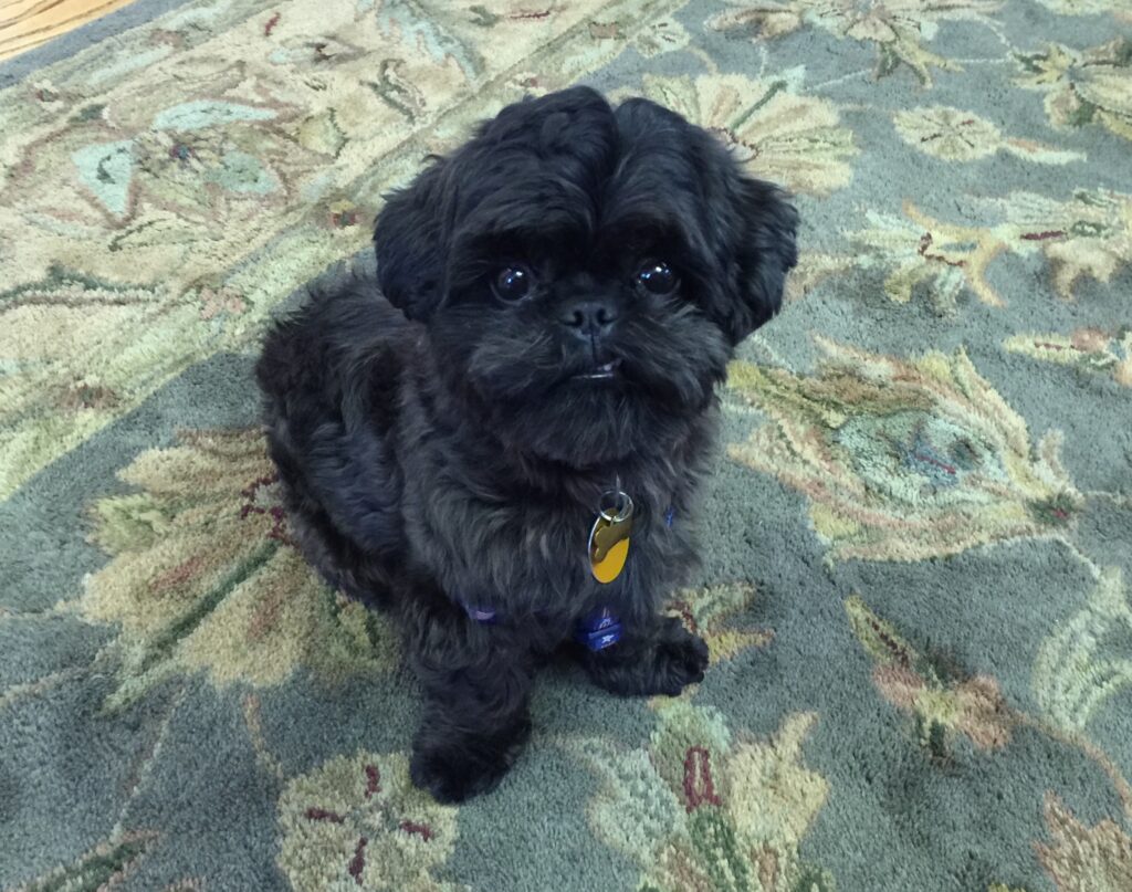 PARKER