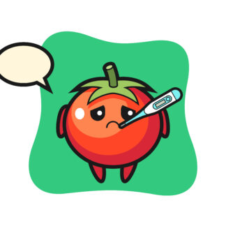 Tomatoes mascot character with fever condition