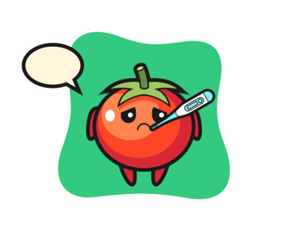 Tomatoes mascot character with fever condition