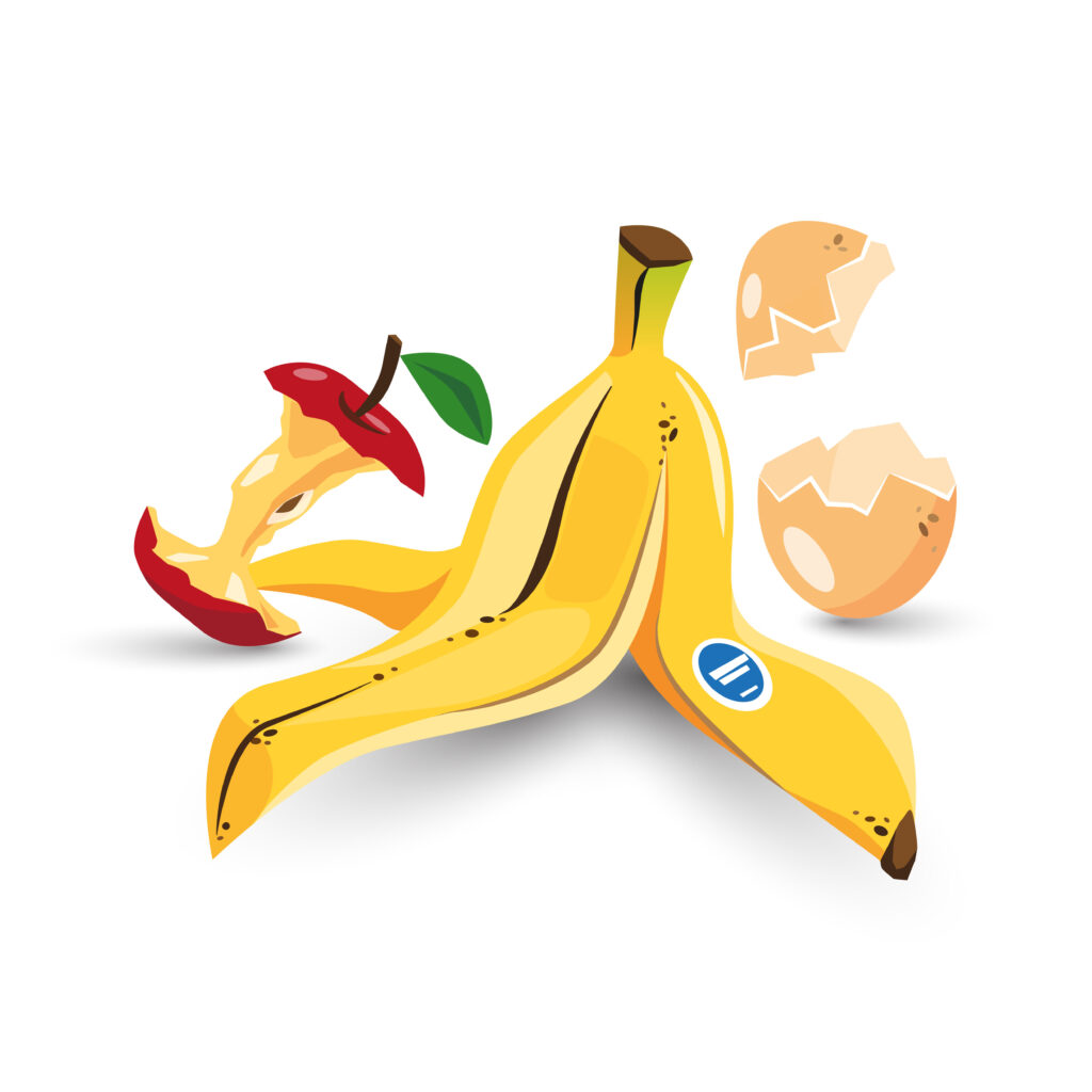 Vector illustration of isolated food trash organic rubbish with banana peel, apple core and egg shell in cartoon style.