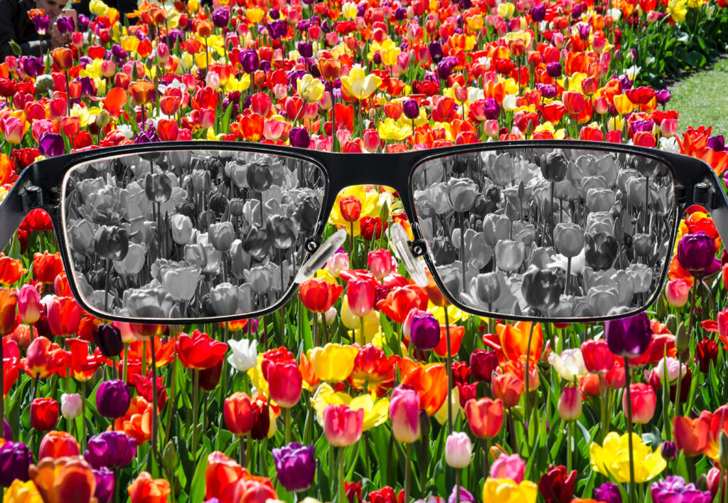 Glasses over a field of flowers of various colors. The part viewed through the lenses of the glasses are black and white, everything else is in color.