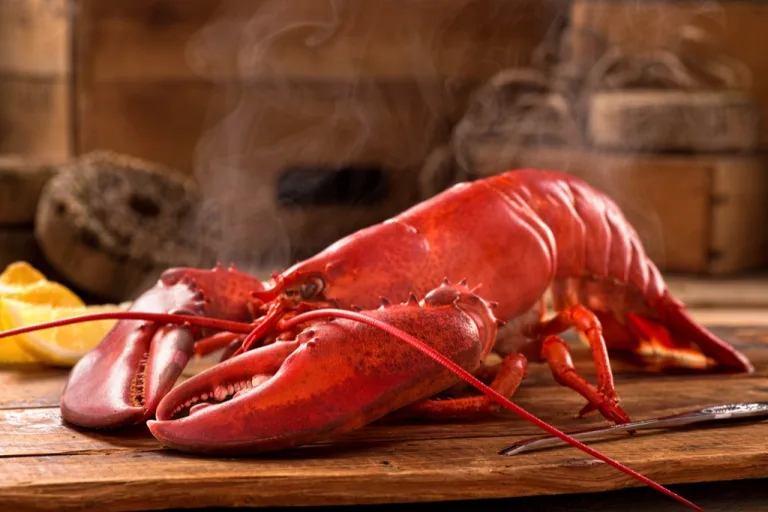 A lobster on a table.