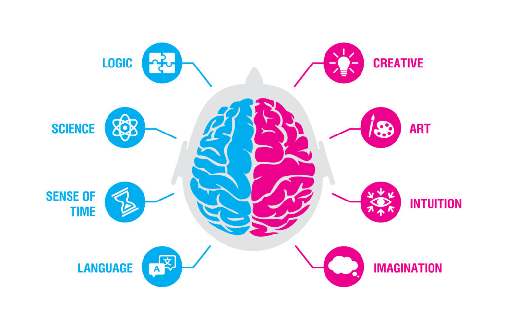 Left and right human brain concept. Logic and creative hemispheres infographics with brain and icons of science, sense of time, language, creative, art, intuition, imagination, vector illustration