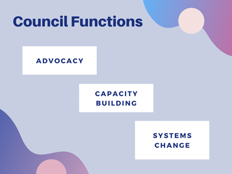 Council functions include advocacy, capacity building, and systems change